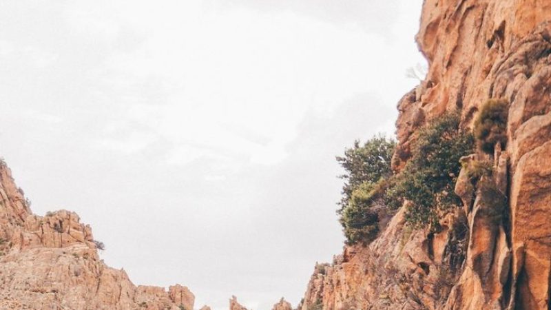 10a19f2213dc7700c36cef05c3eaf818 (1)