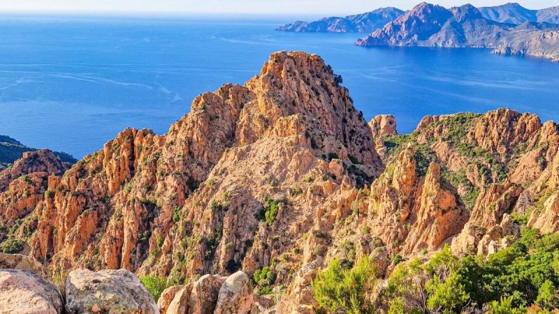 9e7b47869e34a8df3aa8766fd277291f