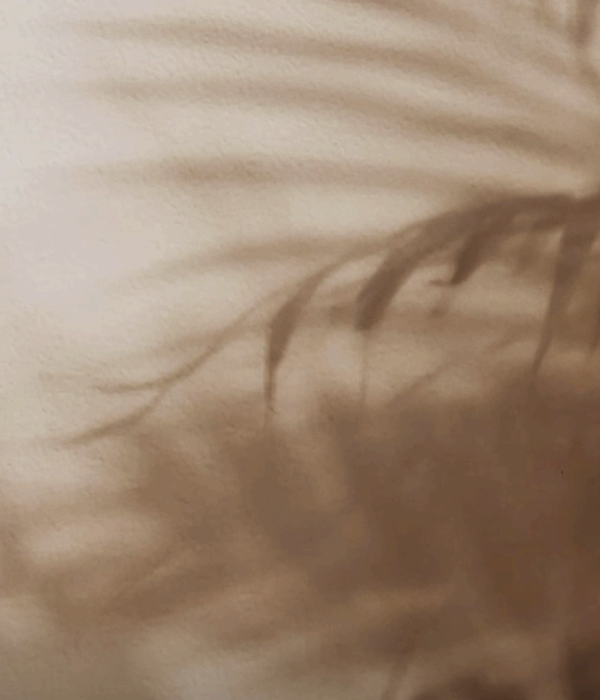 Capture d’écran 2025-11-07 à 04.49.56