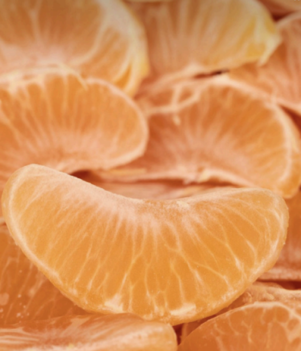 Capture d’écran 2025-11-07 à 05.02.02