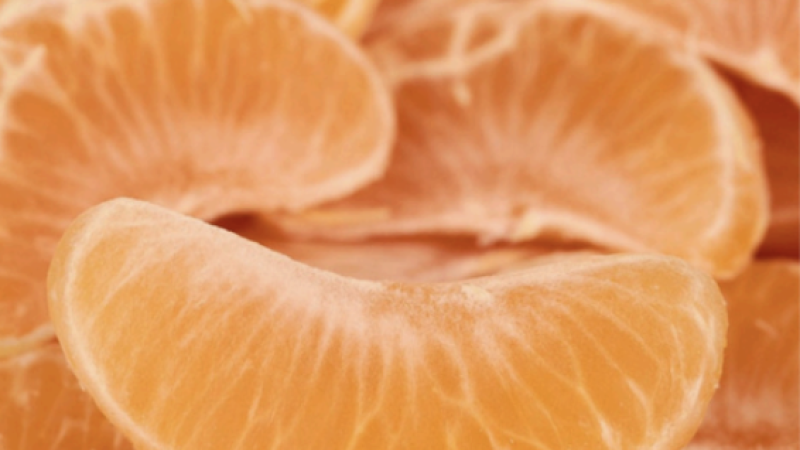 Capture d’écran 2025-11-07 à 05.02.02