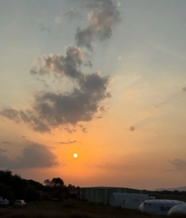 Capture d’écran_8-1-2026_101140_www.canva.com