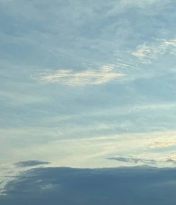 Capture d’écran_8-1-2026_101612_www.canva.com