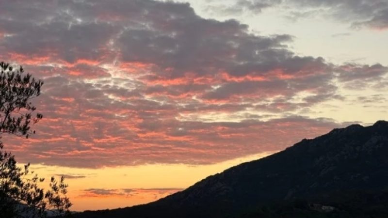 Capture d’écran_8-1-2026_102559_www.canva.com