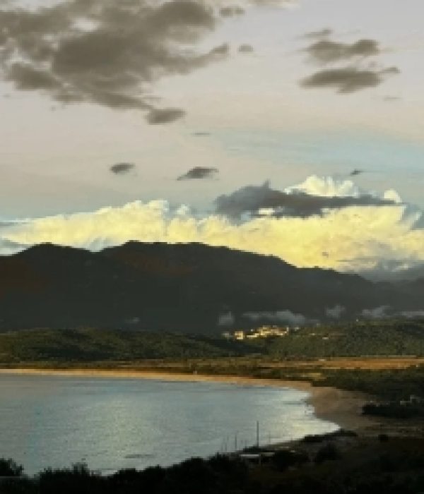 Capture d’écran_8-1-2026_9334_www.canva.com