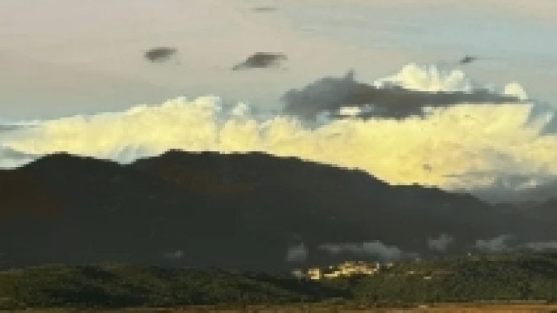 Capture d’écran_8-1-2026_9334_www.canva.com