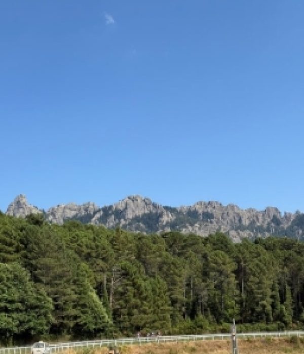 Capture d’écran_8-1-2026_95545_www.canva.com