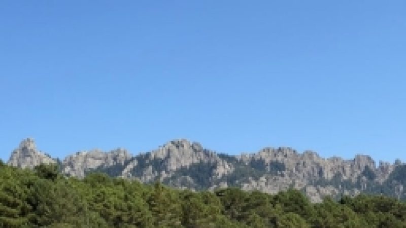 Capture d’écran_8-1-2026_95545_www.canva.com