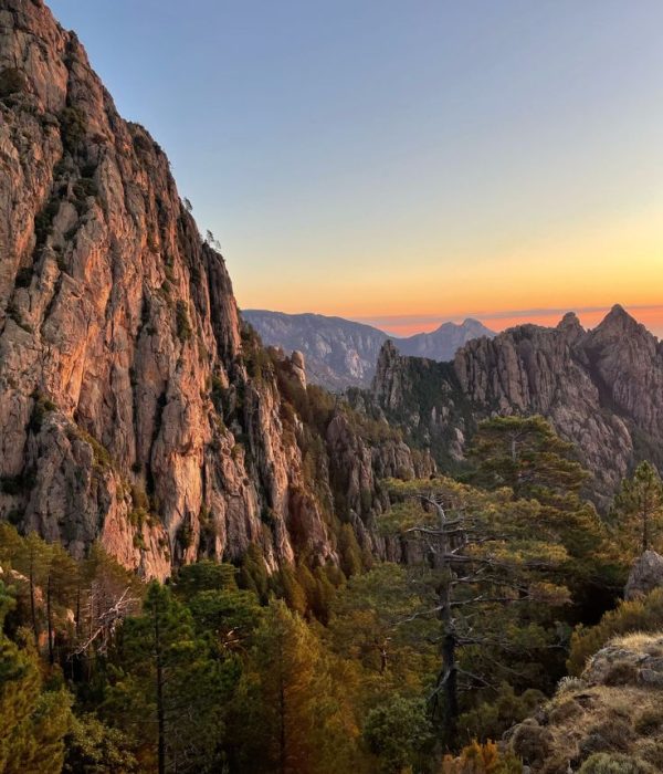 c3b5ae0744d99b2a5bfe2961f1102cd6