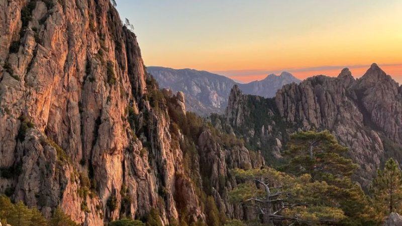 c3b5ae0744d99b2a5bfe2961f1102cd6