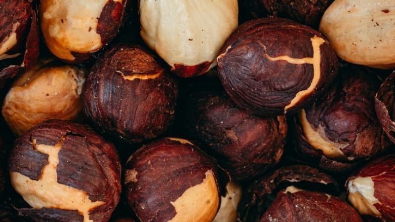 téléchargement (1)