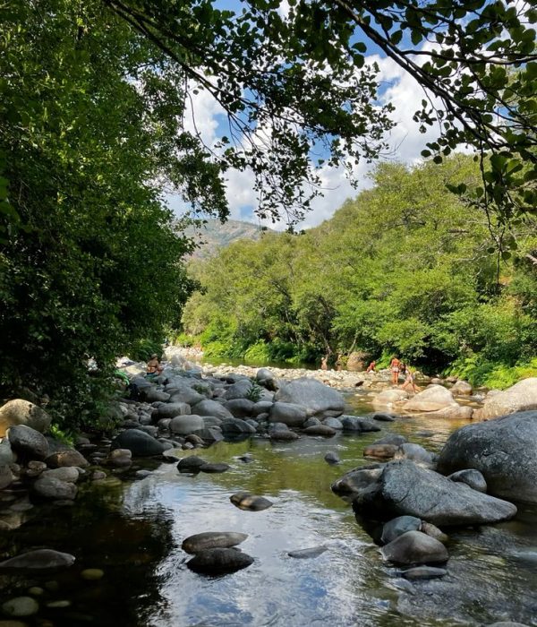 téléchargement (2)