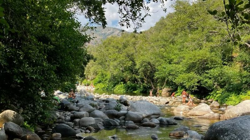 téléchargement (2)